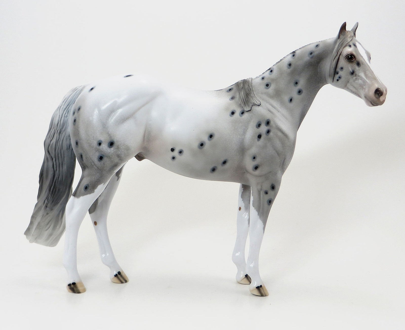 TUESDAY - Grey Leopard Appaloosa Model Stock Horse - LE5 - 6/15