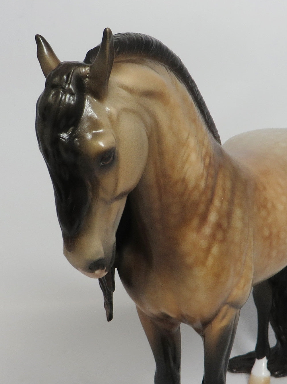 SOLANO - LE8 DAPPLE BUCKSKIN ANDALUSIAN MODEL HORSE SHCF2018