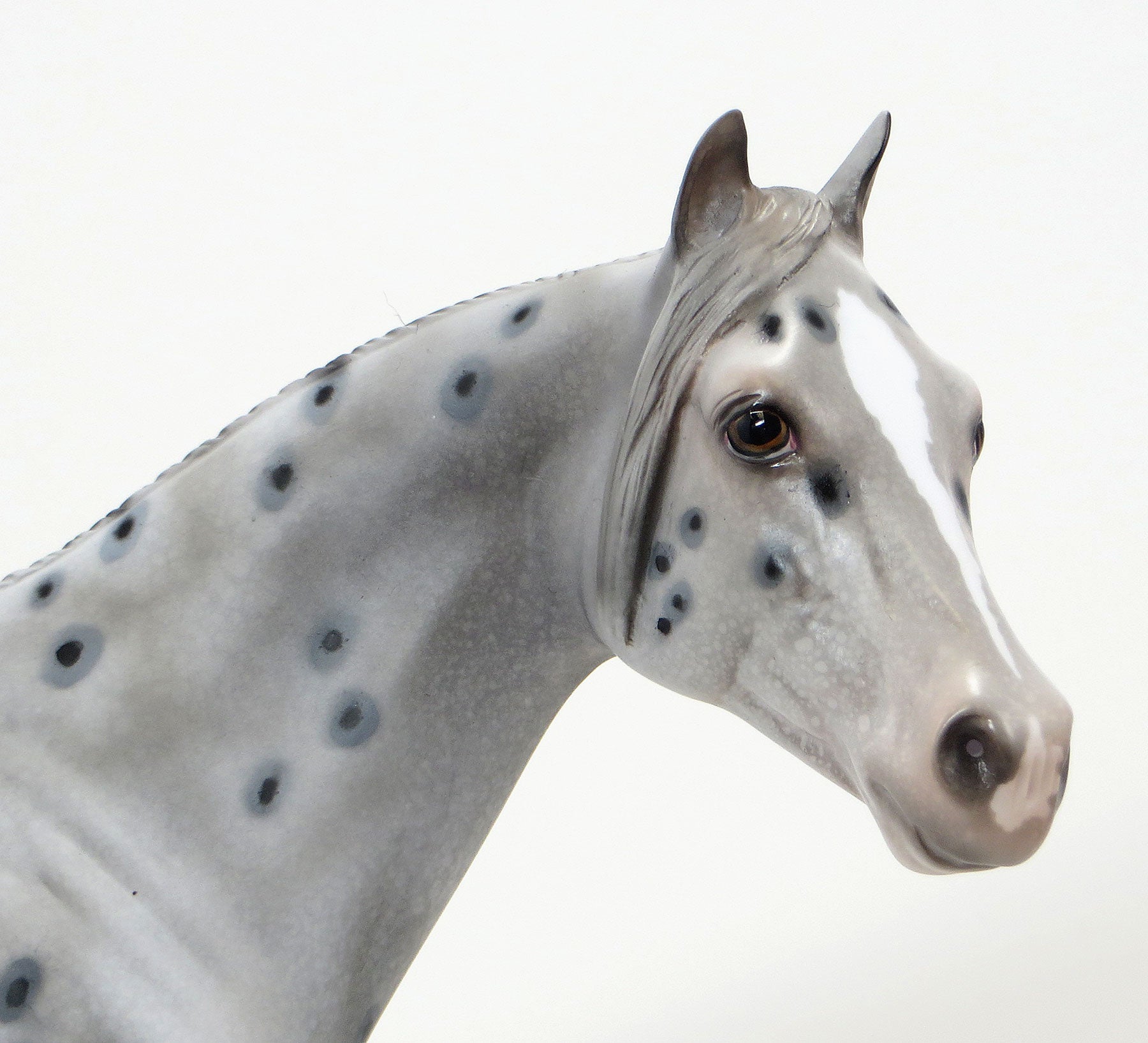 TUESDAY - Grey Leopard Appaloosa Model Stock Horse - LE5 - 6/15