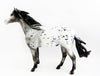 Spanish Mustang