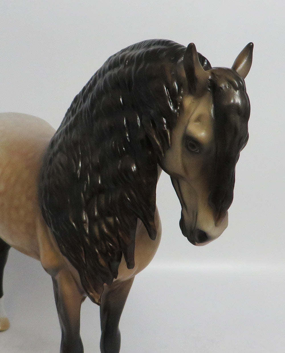 SOLANO - LE8 DAPPLE BUCKSKIN ANDALUSIAN MODEL HORSE SHCF2018