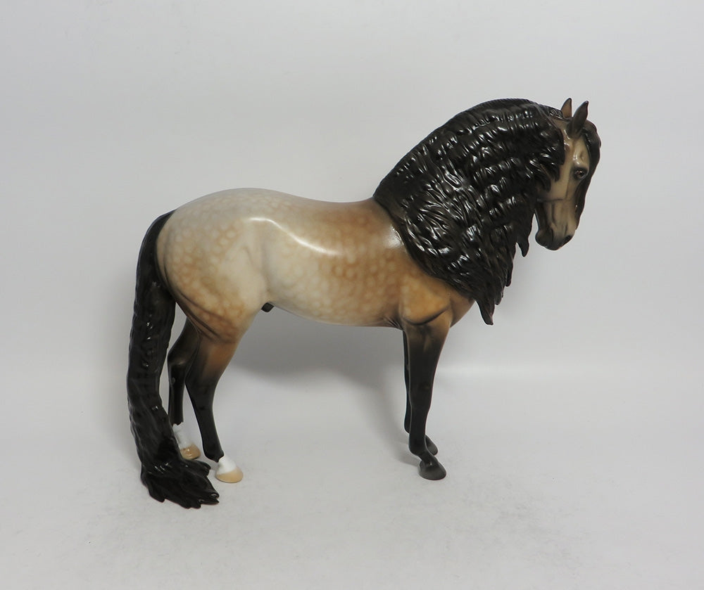 SOLANO - LE8 DAPPLE BUCKSKIN ANDALUSIAN MODEL HORSE SHCF2018