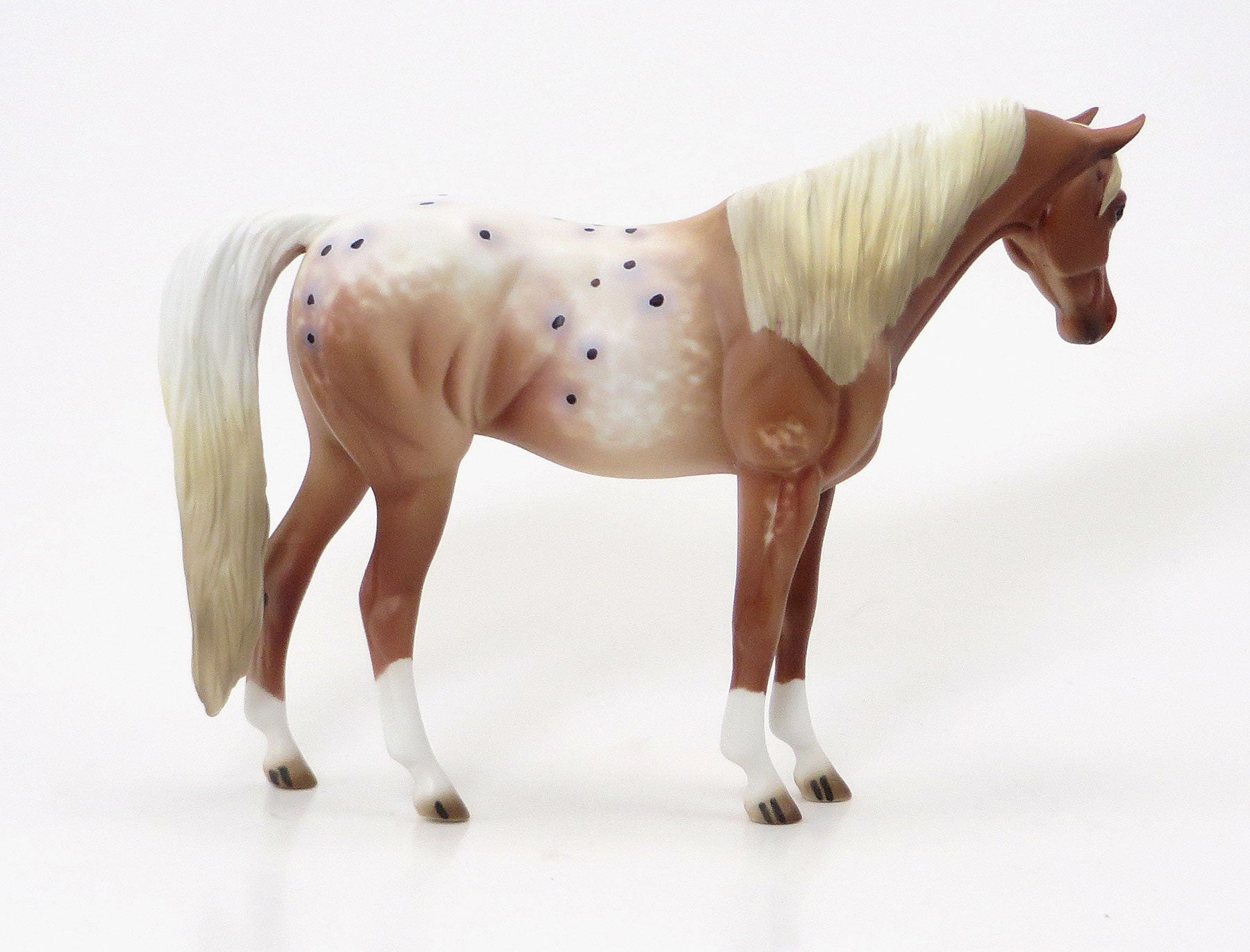 COUSINS QUEEN - Chestnut Appaloosa Pebbles Arabian Model Horse - LE6