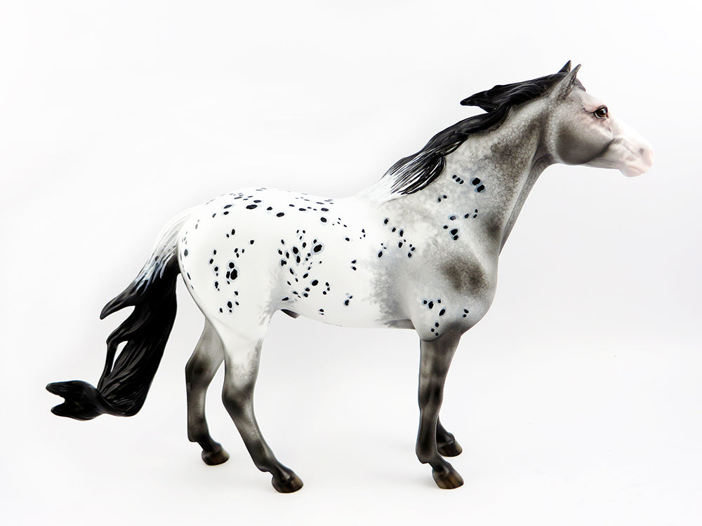 Dancin Against the Wind