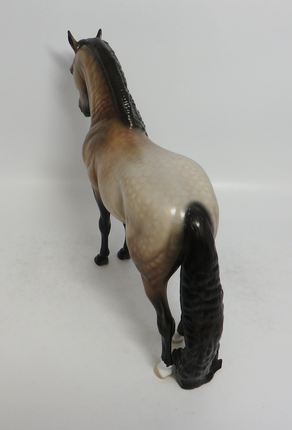 SOLANO - LE8 DAPPLE BUCKSKIN ANDALUSIAN MODEL HORSE SHCF2018