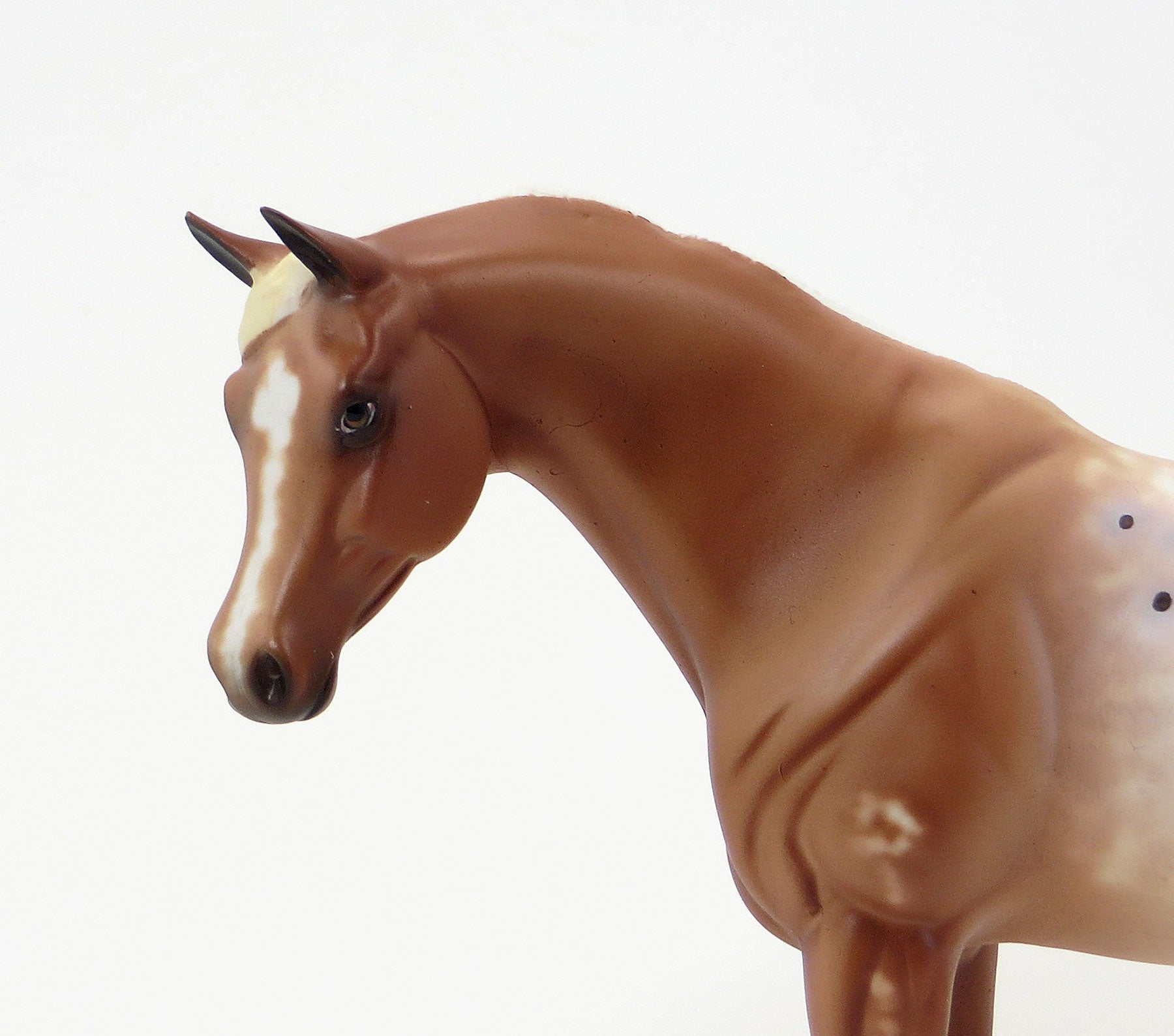 COUSINS QUEEN - Chestnut Appaloosa Pebbles Arabian Model Horse - LE6