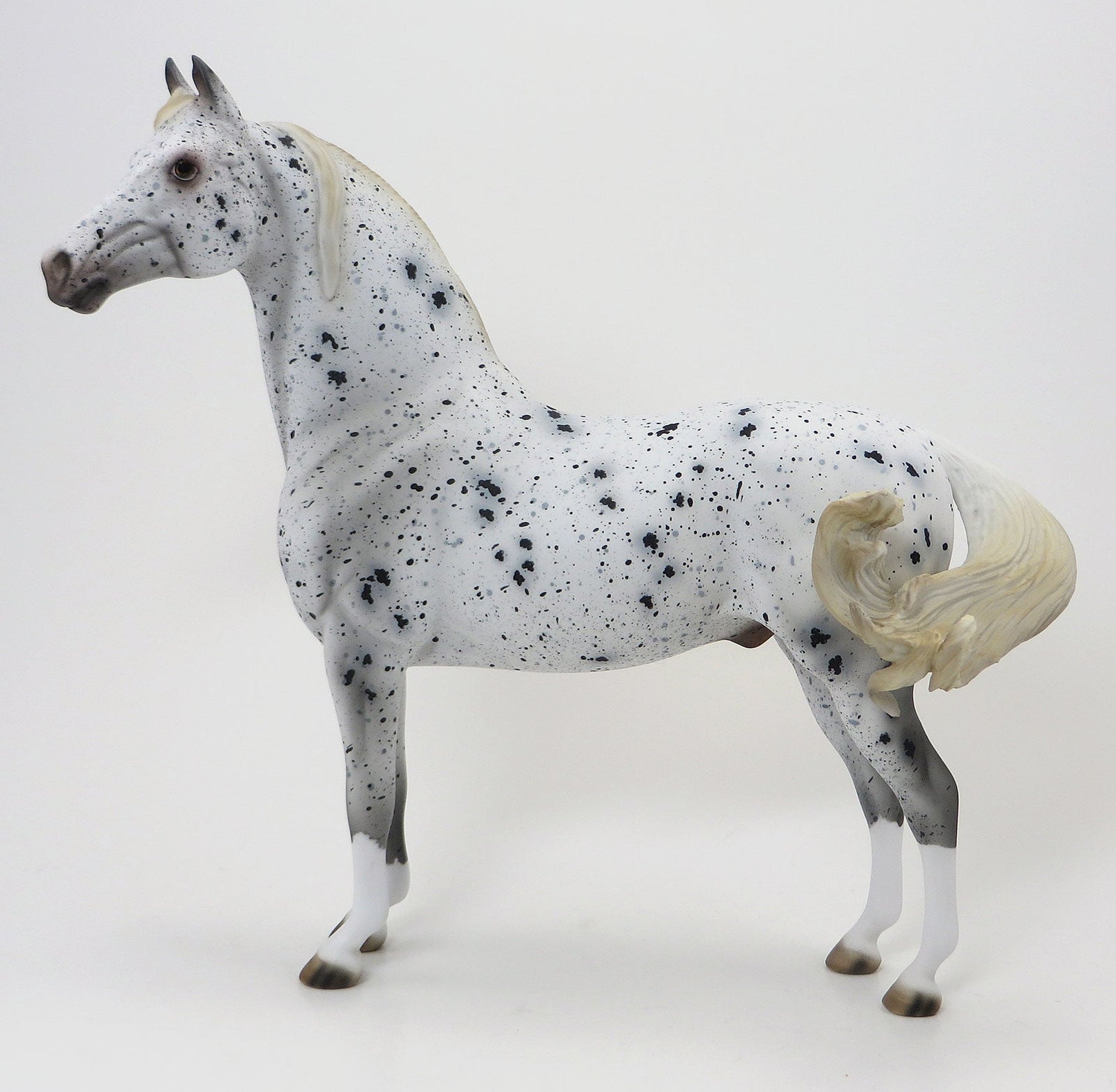 THE LIBRARIANS SECRET - OOAK Appaloosa Morgan 6/19