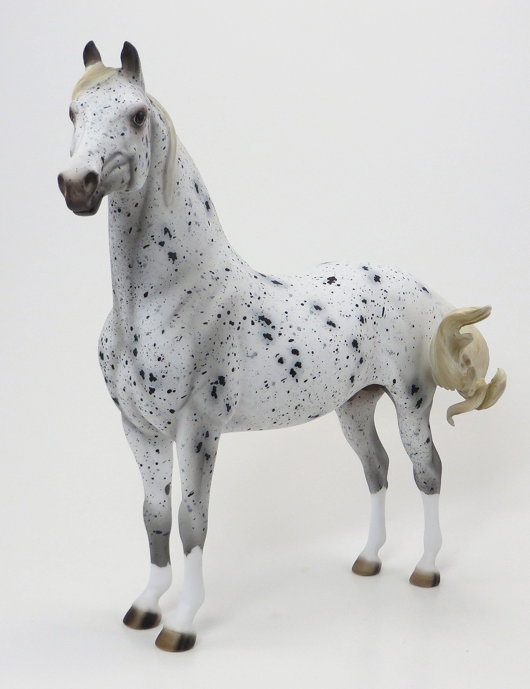 THE LIBRARIANS SECRET - OOAK Appaloosa Morgan 6/19