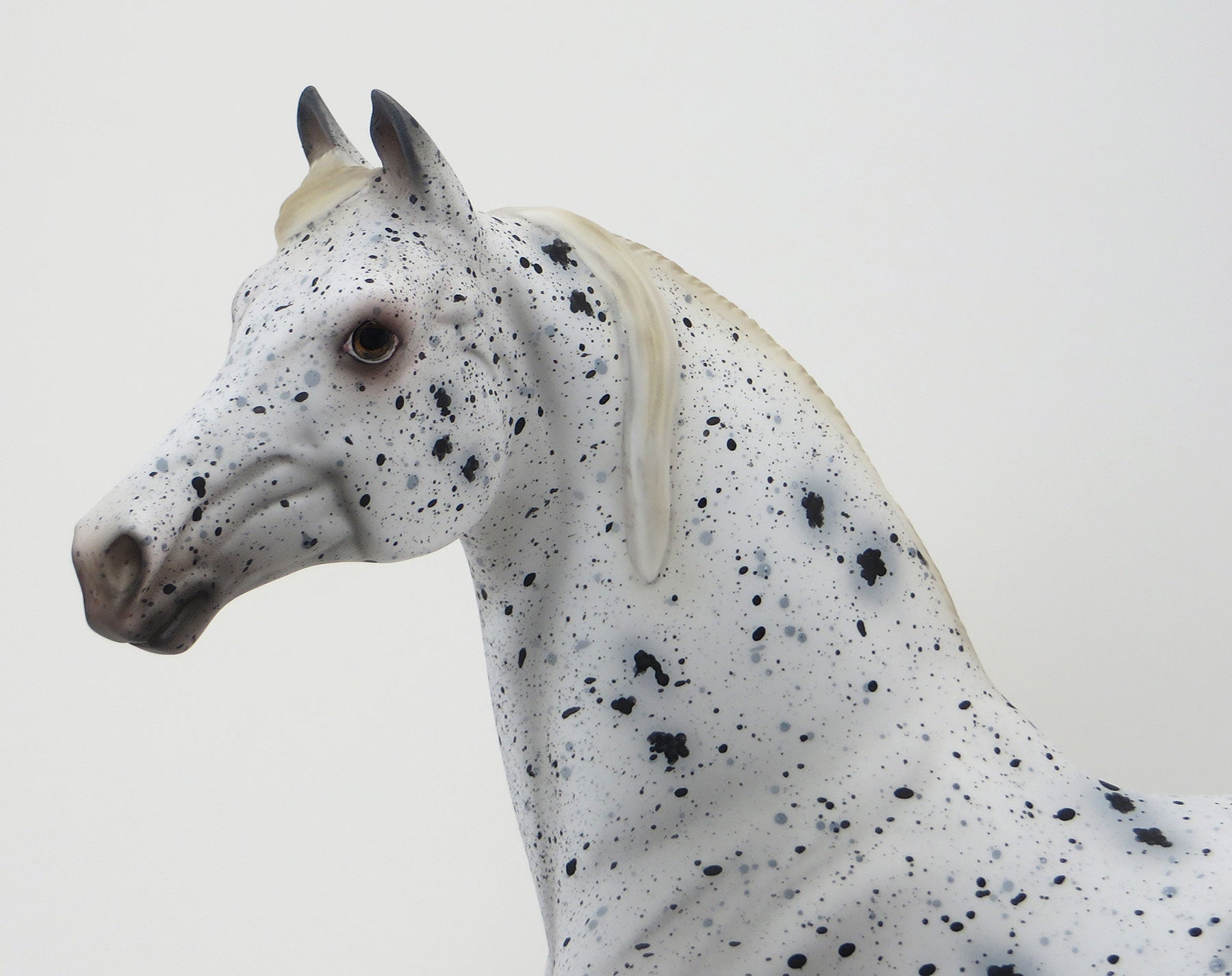 THE LIBRARIANS SECRET - OOAK Appaloosa Morgan 6/19