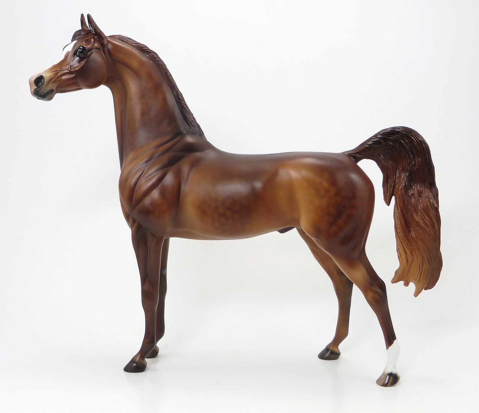 TOP HATS EDGE - LE10 Dapple Chestnut Arabian 6/19