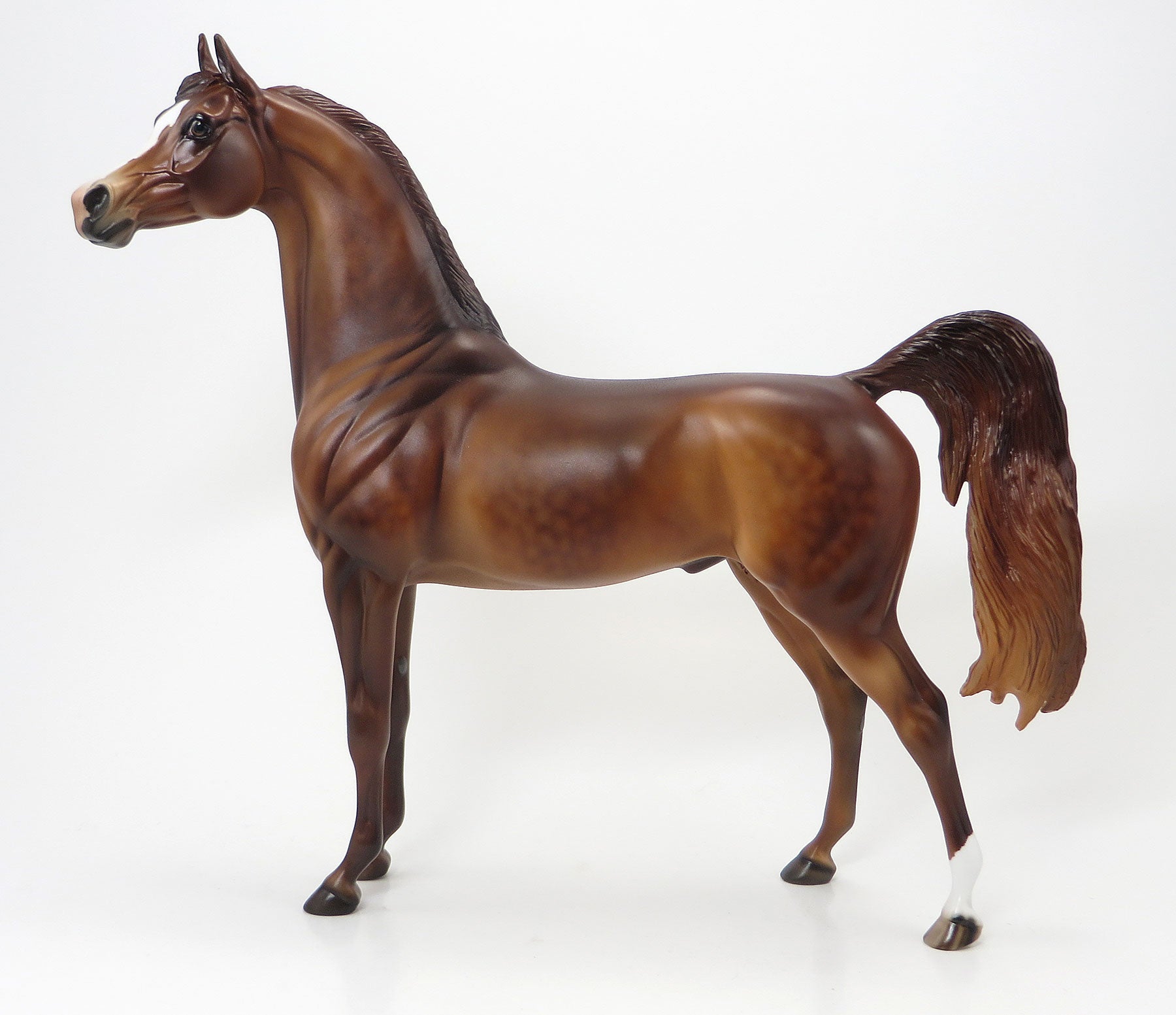 TOP HATS EDGE - LE10 Dapple Chestnut Arabian 6/19