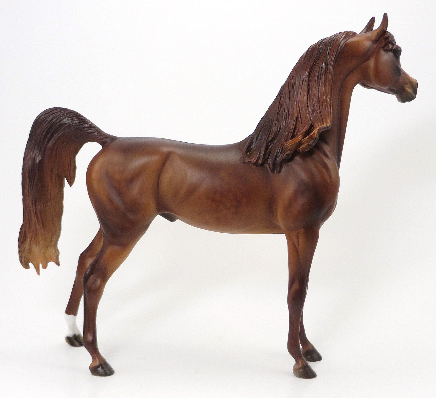 TOP HATS EDGE - LE10 Dapple Chestnut Arabian 6/19