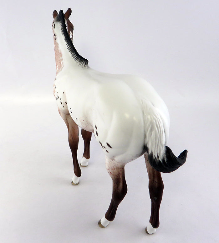 PIXIE DUST-LE-4 BAY APPALOOSA WEANLING MODEL HORSE EQ 2016