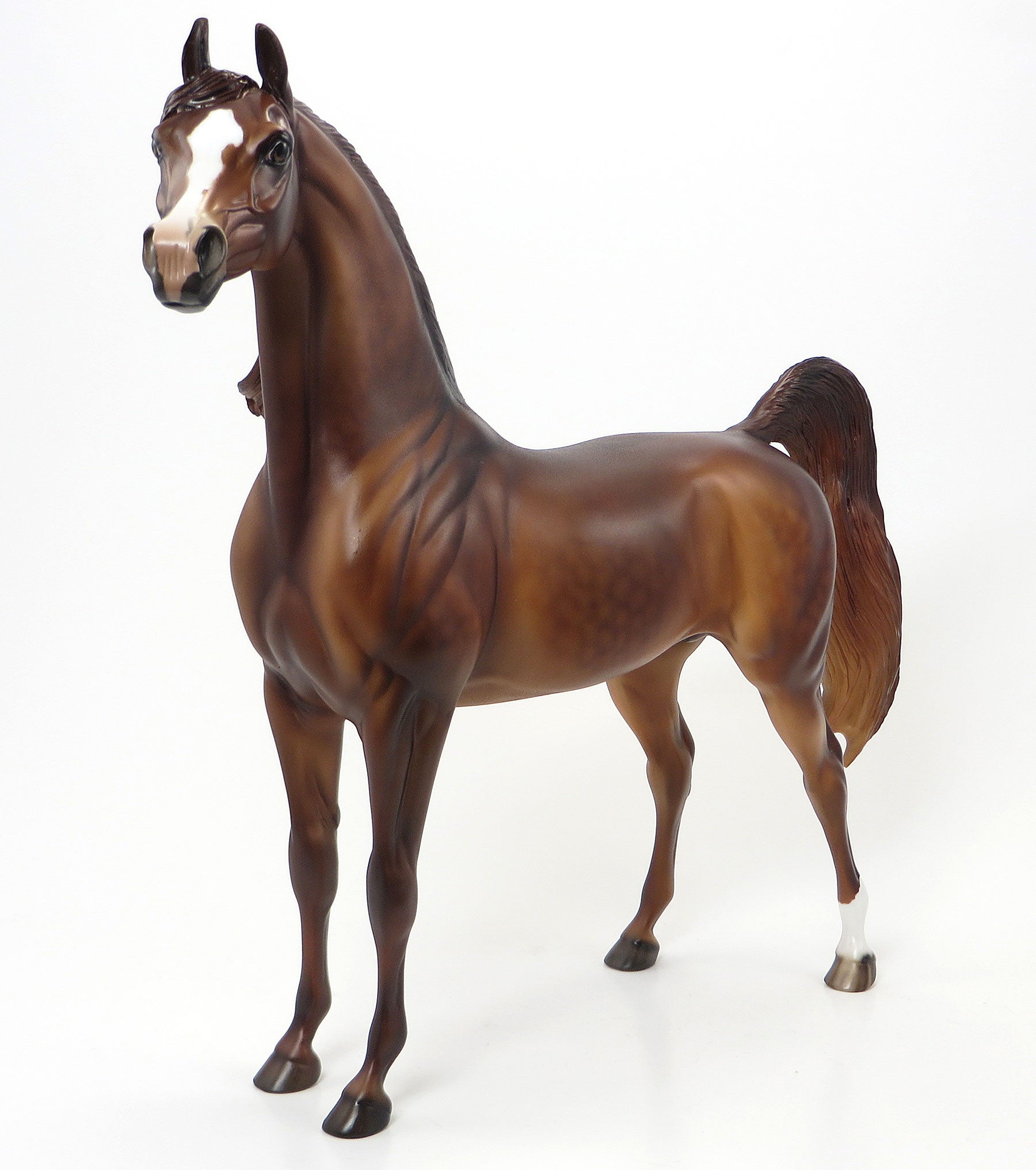 TOP HATS EDGE - LE10 Dapple Chestnut Arabian 6/19