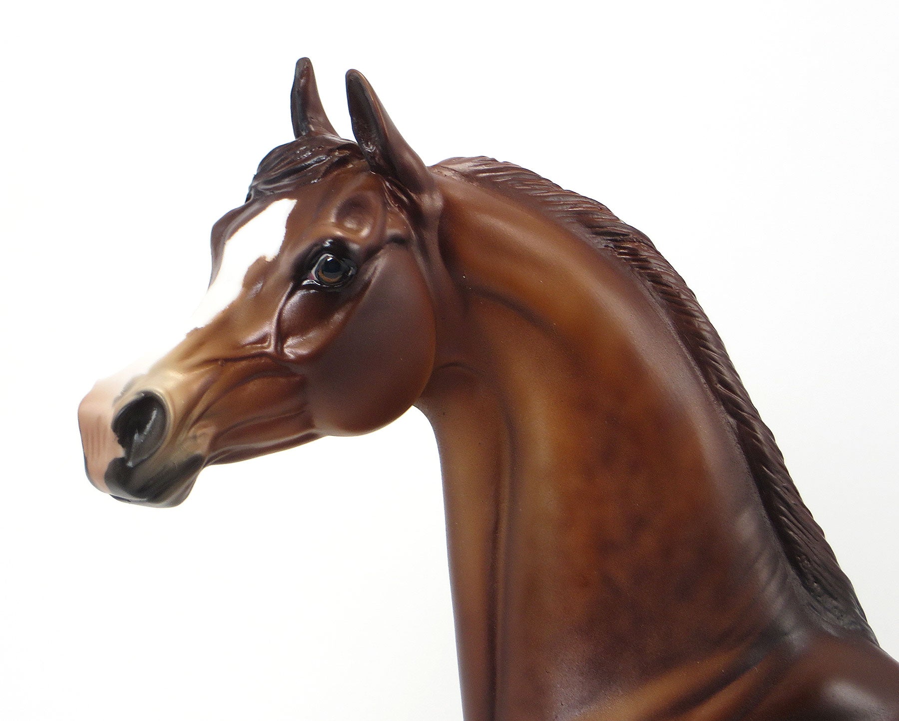 TOP HATS EDGE - LE10 Dapple Chestnut Arabian 6/19