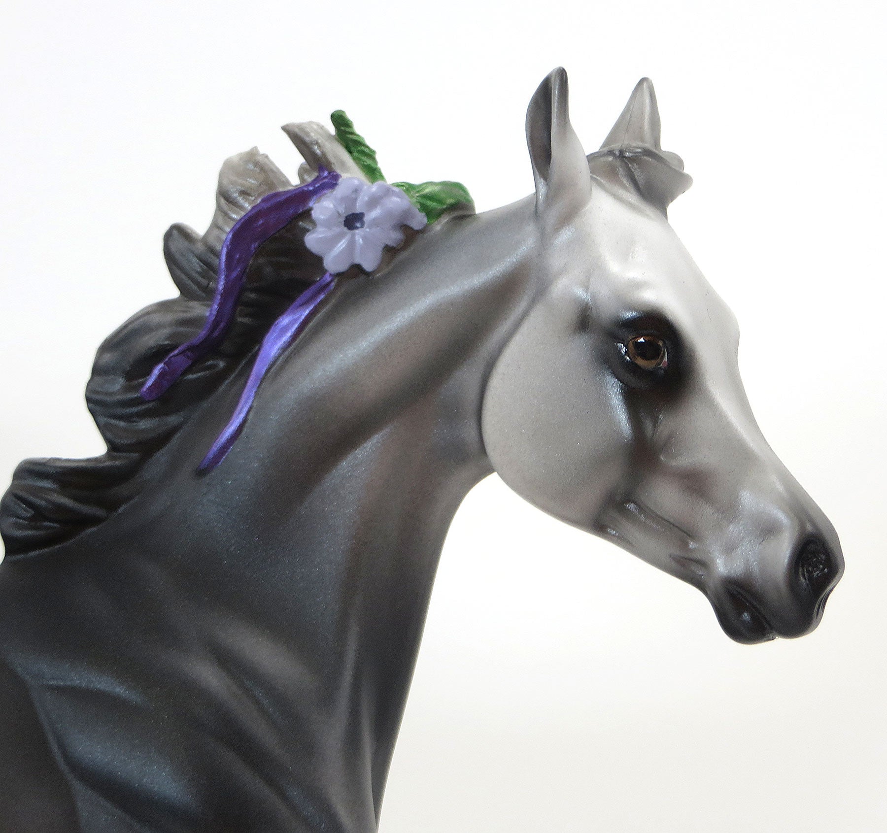 MY VIOLET- LE 10 Dark Grey Yearling W/ Purple Ribbons and Flowers 6/19