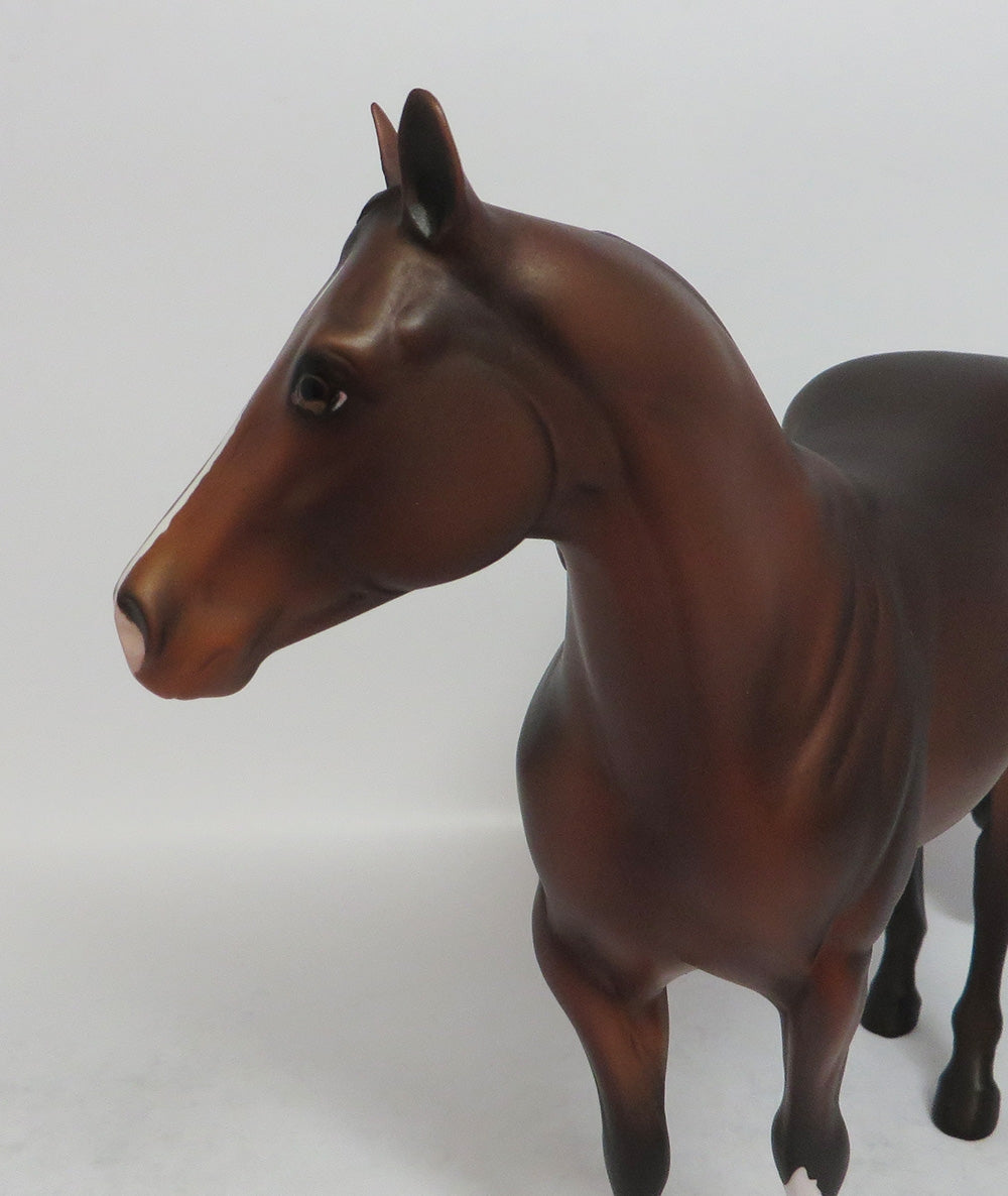 CANDY APPLE - OOAK DARK BAY ISH MODEL HORSE SHCF2018