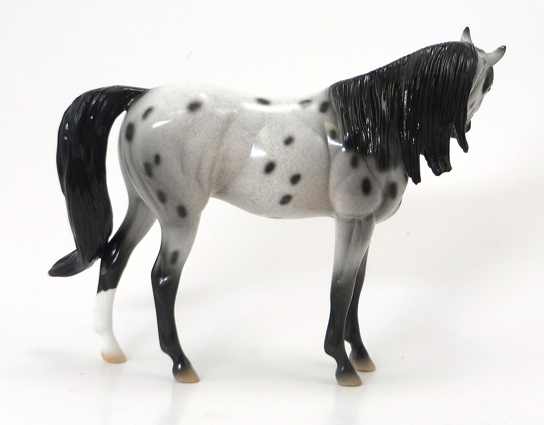 TENDER SPOTS - Grey Appaloosa Pebbles Arabian Model Horse - LE6 - 7/15