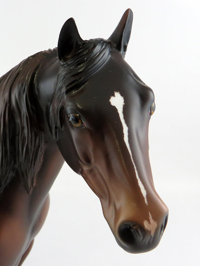 DOCTOR STRANGE-LE-3 DARK CHESTNUT ISH MODEL HORSE BY JULIE KEIM 9/30