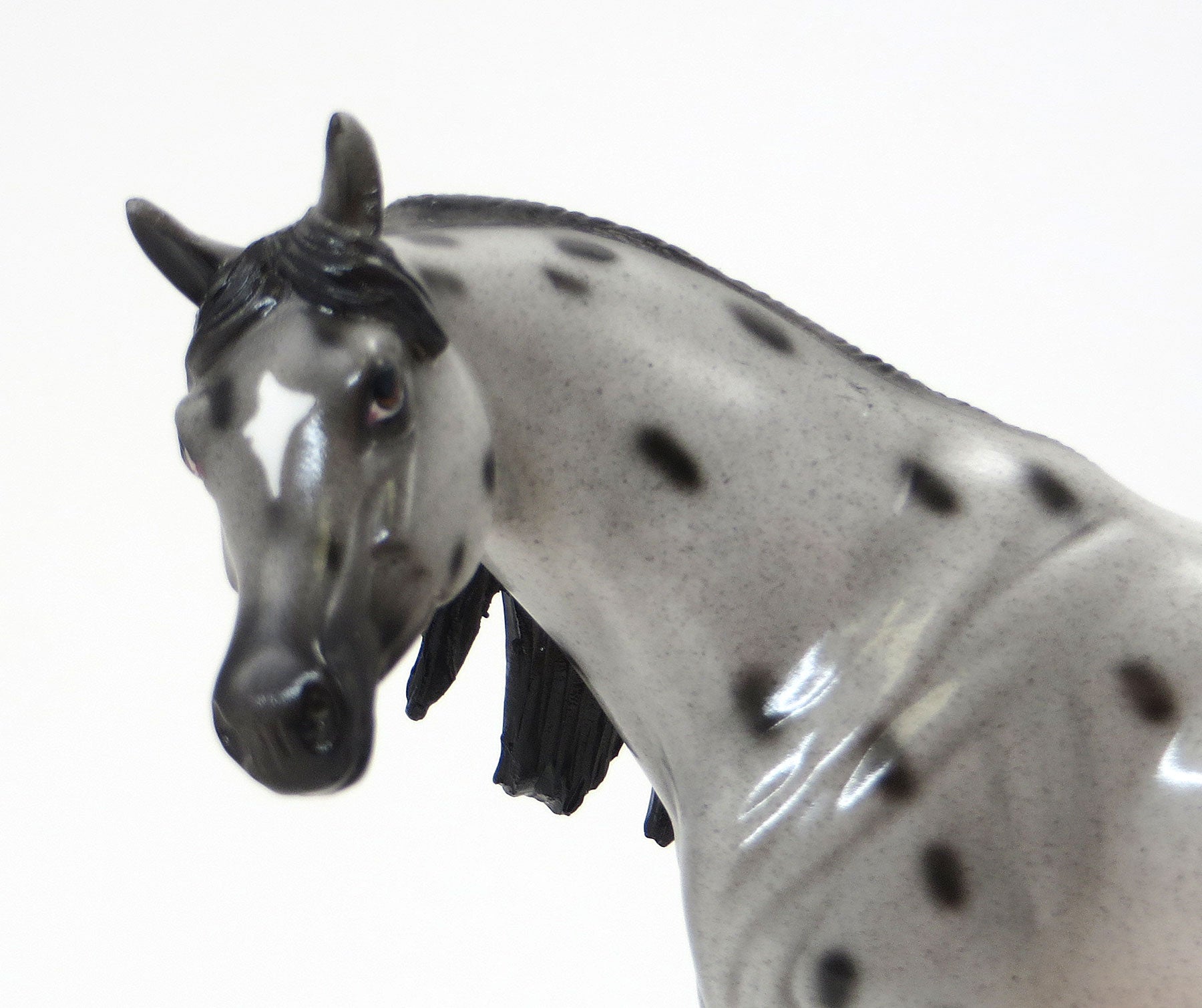 TENDER SPOTS - Grey Appaloosa Pebbles Arabian Model Horse - LE6 - 7/15