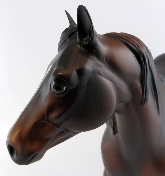 DOCTOR STRANGE-LE-3 DARK CHESTNUT ISH MODEL HORSE BY JULIE KEIM 9/30