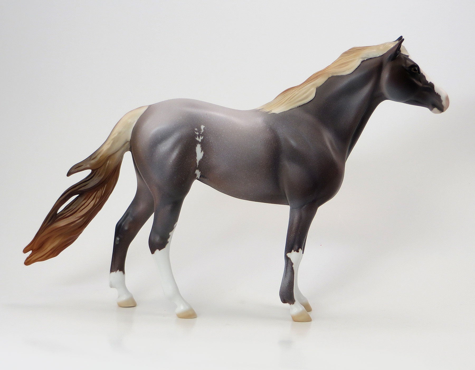 SPRING WILLOW - EQ 2015 LE15 Grulla Roan Sabino Mustang 7/23