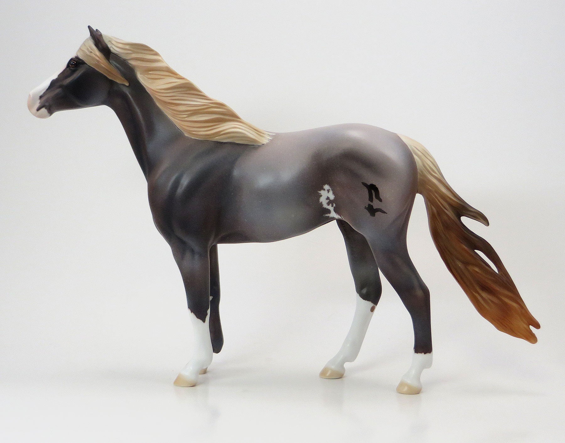 SPRING WILLOW - EQ 2015 LE15 Grulla Roan Sabino Mustang 7/23