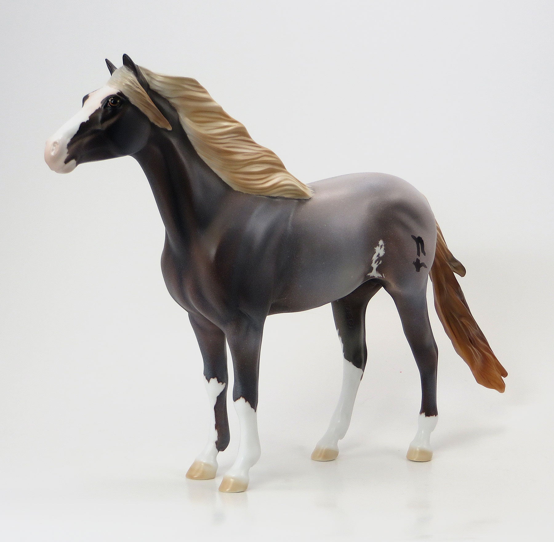 SPRING WILLOW - EQ 2015 LE15 Grulla Roan Sabino Mustang 7/23