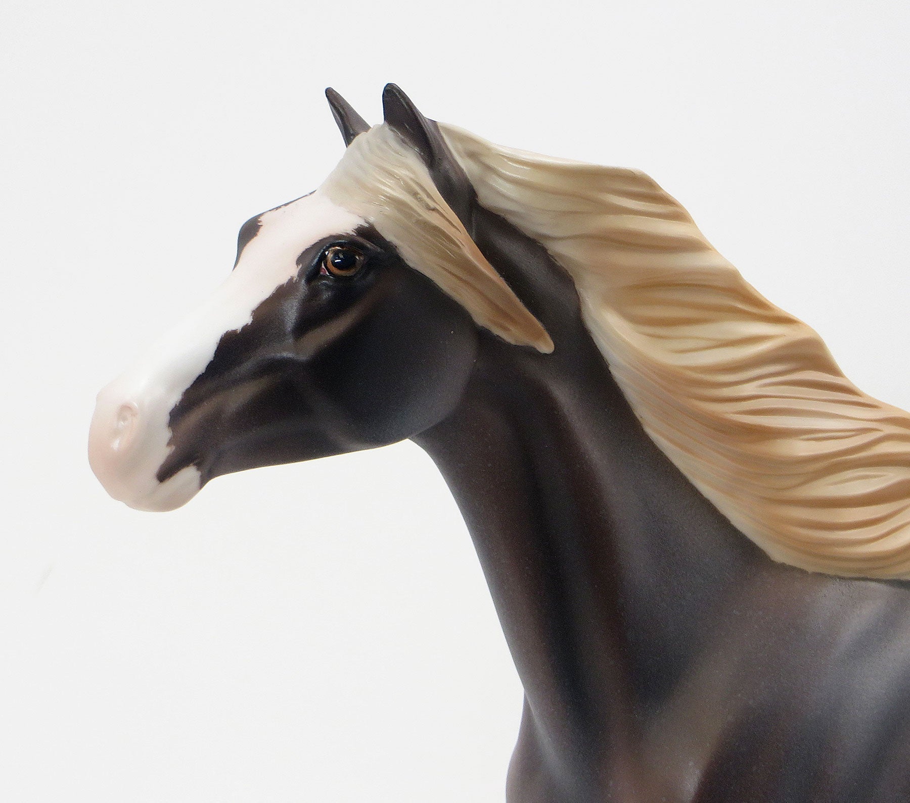 SPRING WILLOW - EQ 2015 LE15 Grulla Roan Sabino Mustang 7/23