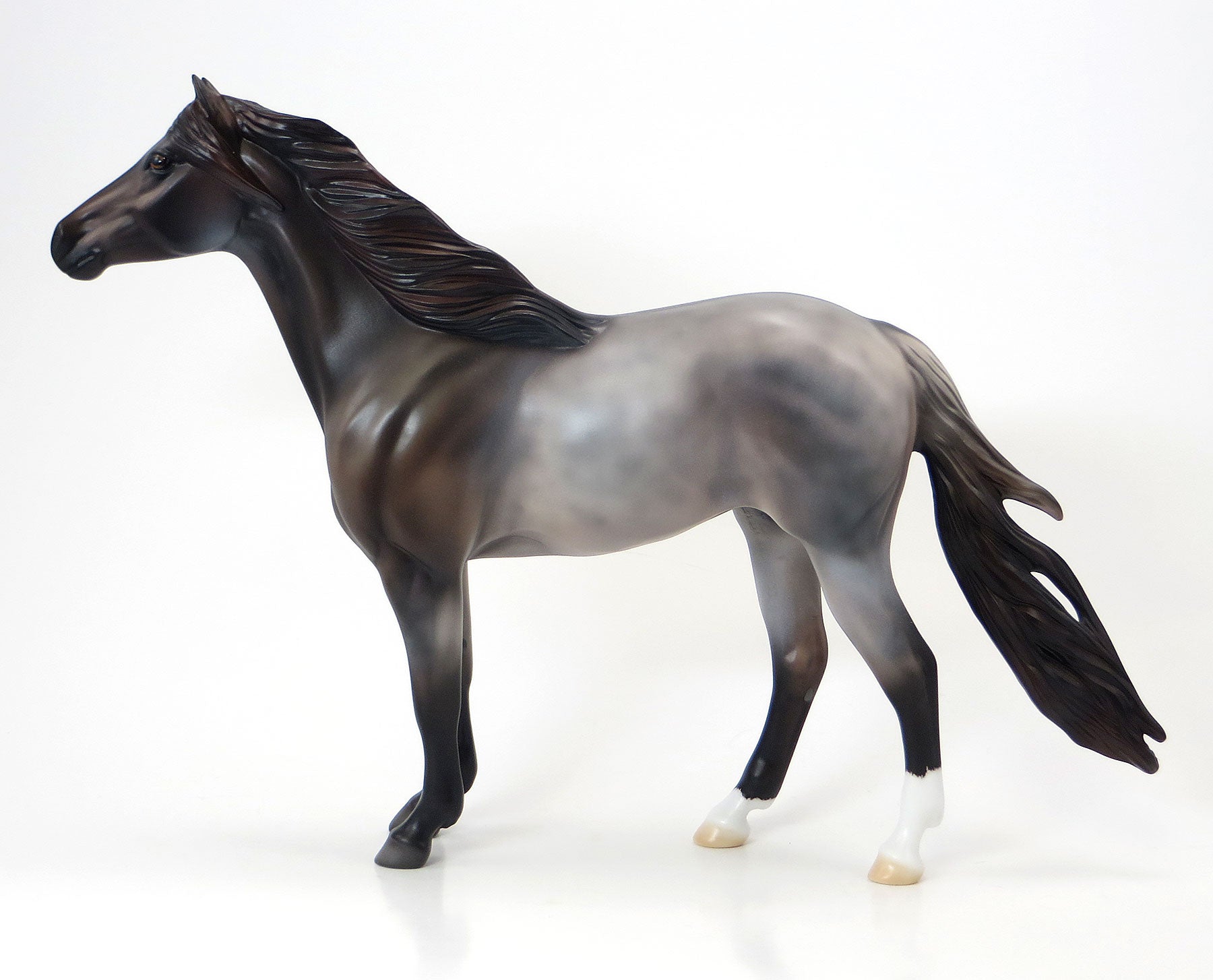 CAYUSE SAGE- EQ 2015 LE15 Grulla Mustang 6/23