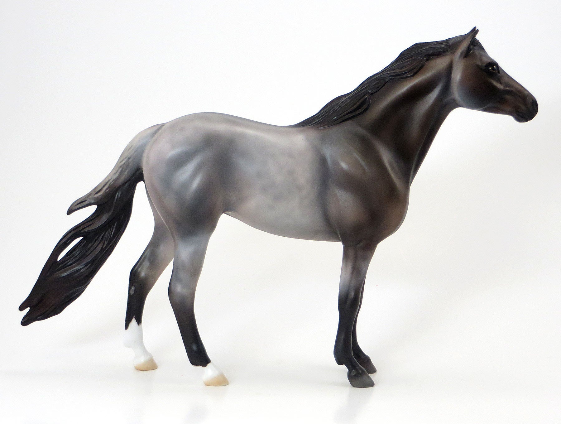 CAYUSE SAGE- EQ 2015 LE15 Grulla Mustang 6/23