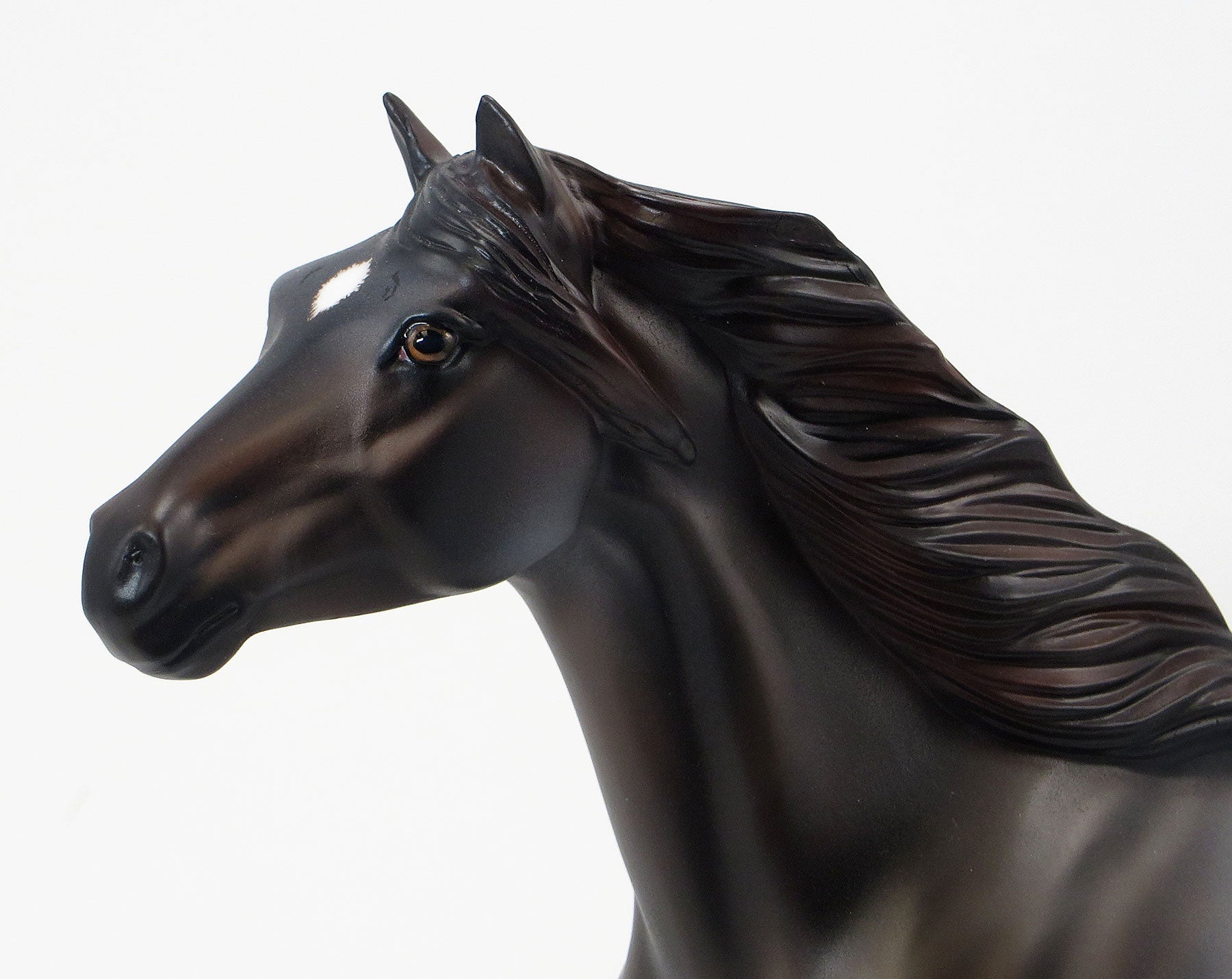 CAYUSE SAGE- EQ 2015 LE15 Grulla Mustang 6/23