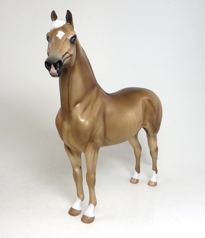 sheryl leisure morgan treasure island