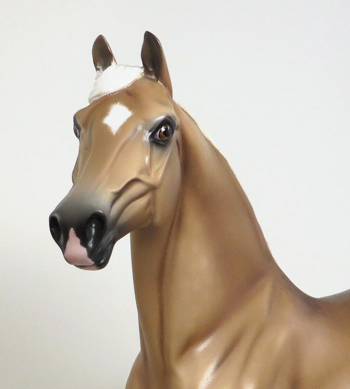 peter stone morgan treasure island