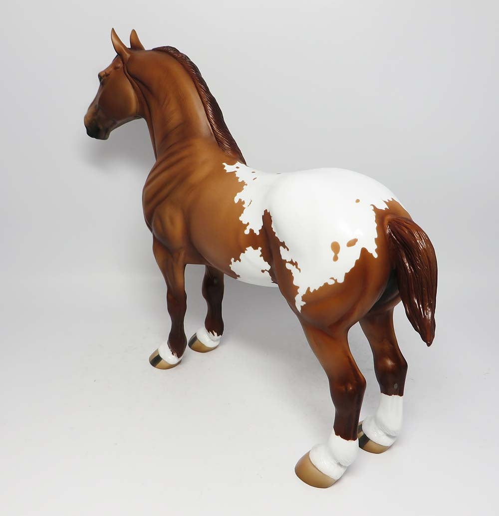 Appaloosa