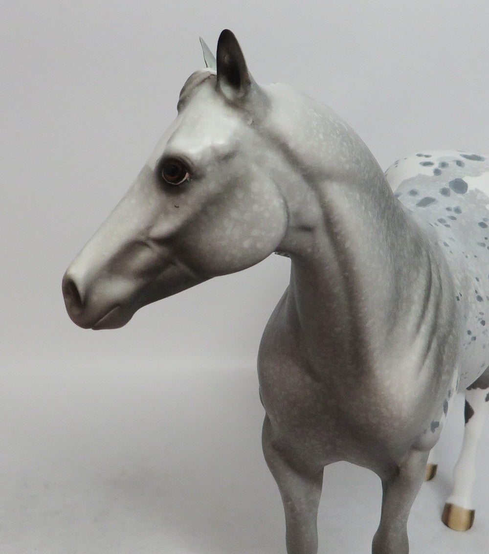 DIABLO-OOAK APPALOOSA ISH MODEL HORSE WITH CUSTOM LONG MANE AND TAIL BY DAWN QUICK 4/4/18