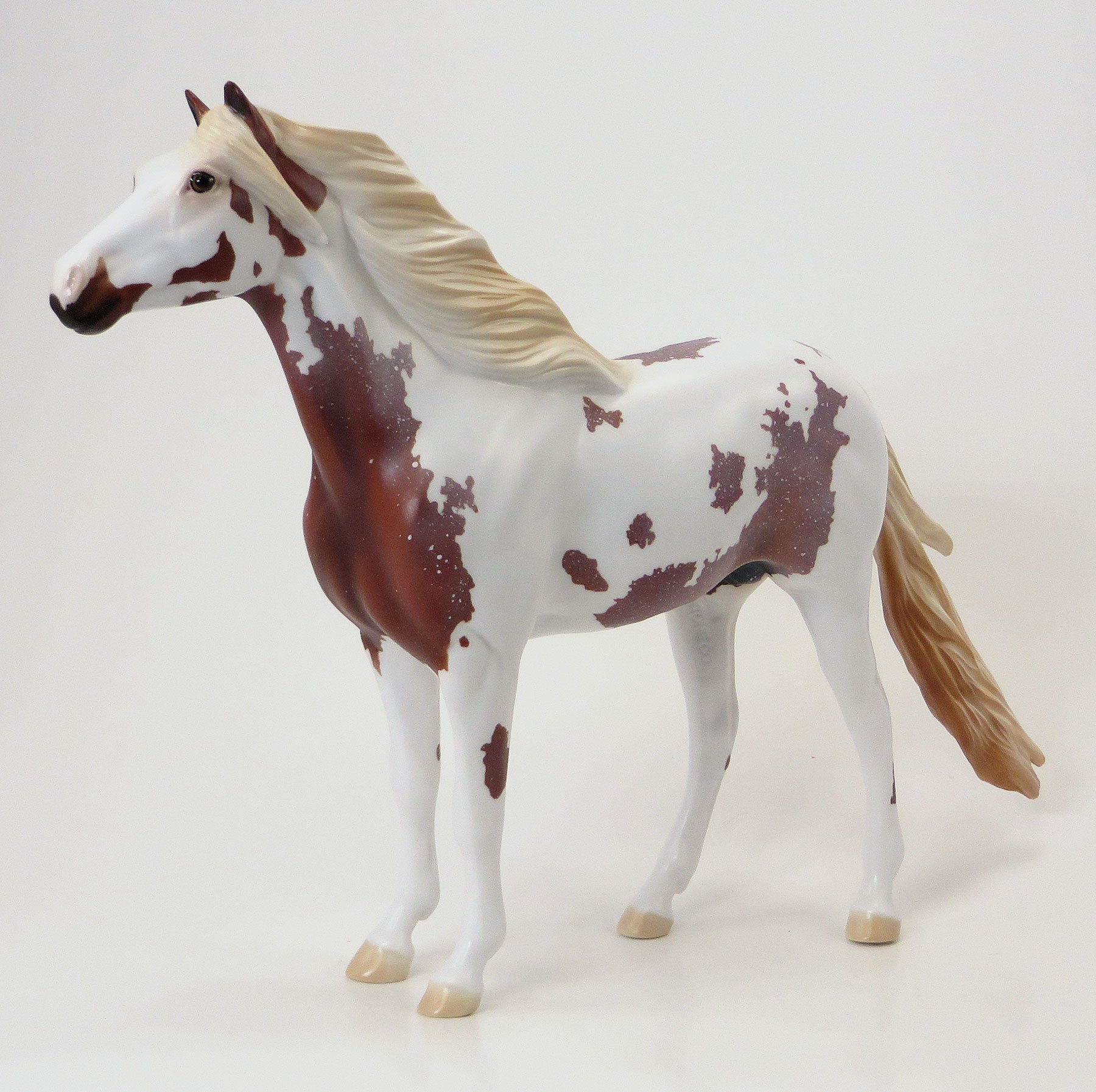 Chestnut Roan Sabino