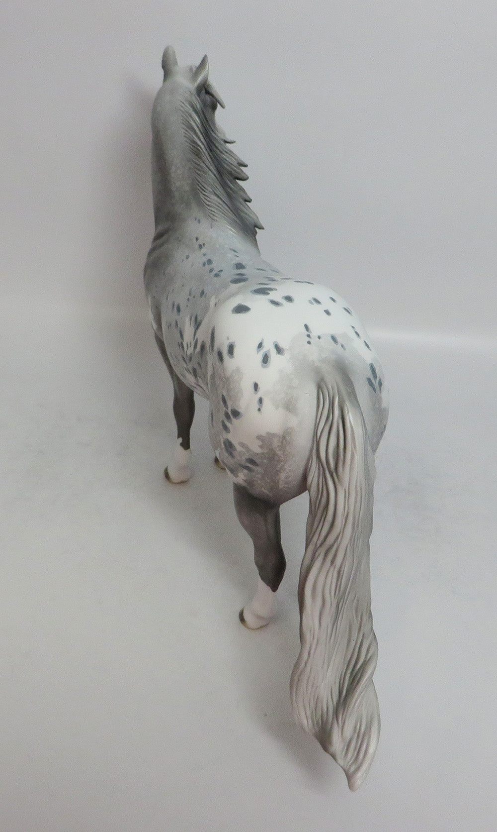 APPALOOSA