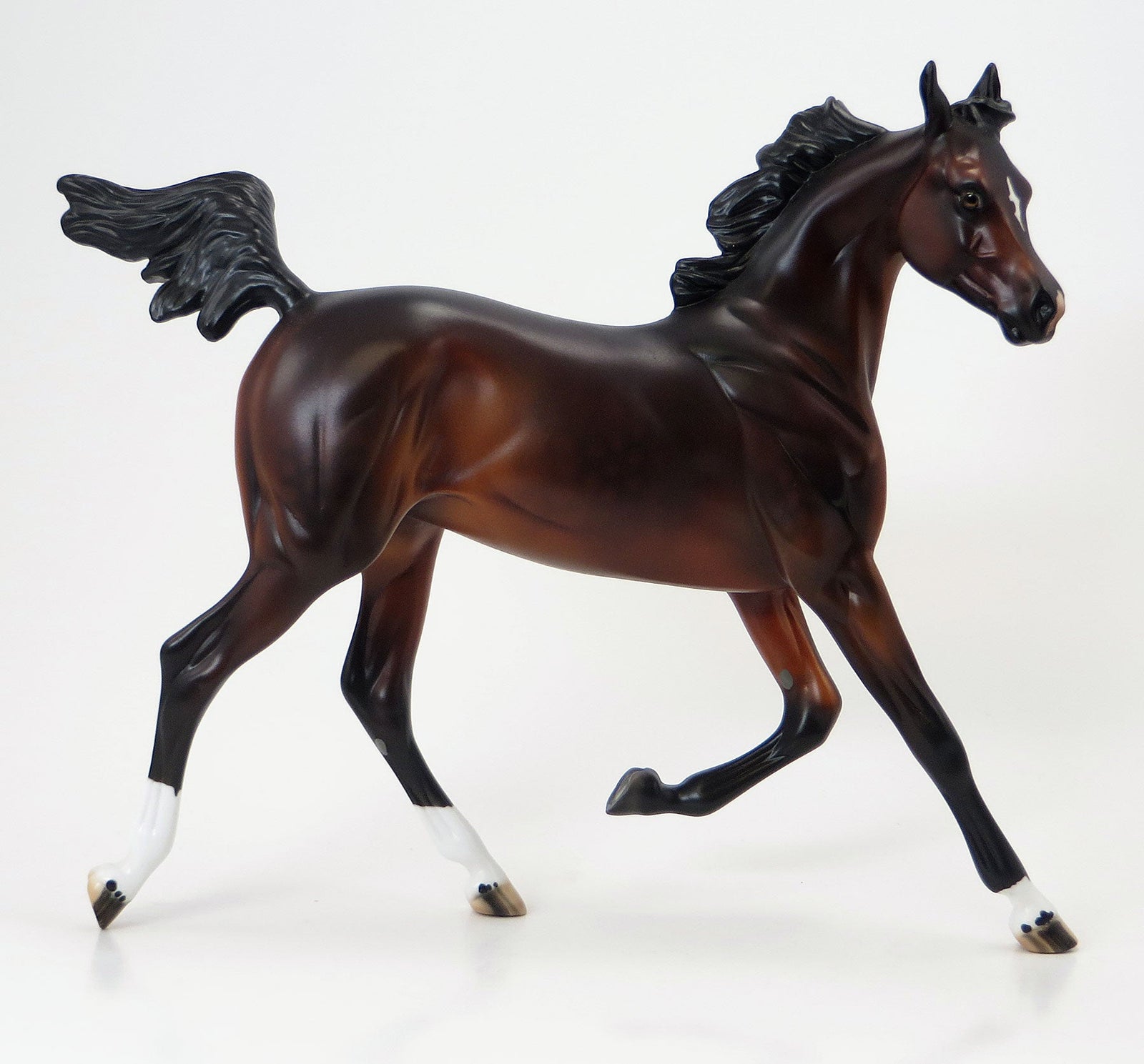 SUCCESS MATTERS - EQ 2015 LE12 Bay Yearling 6/15