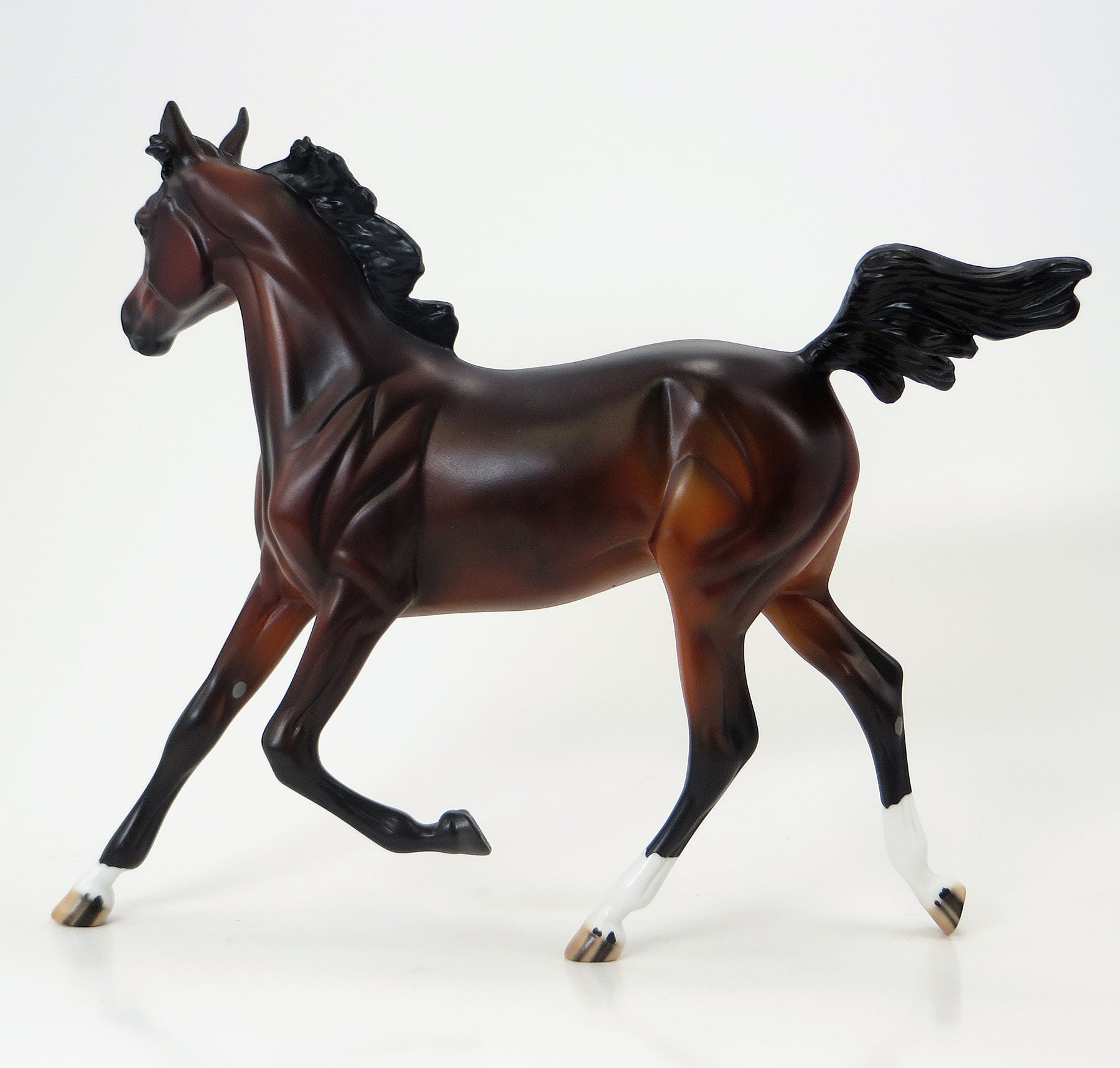 SUCCESS MATTERS - EQ 2015 LE12 Bay Yearling 6/15