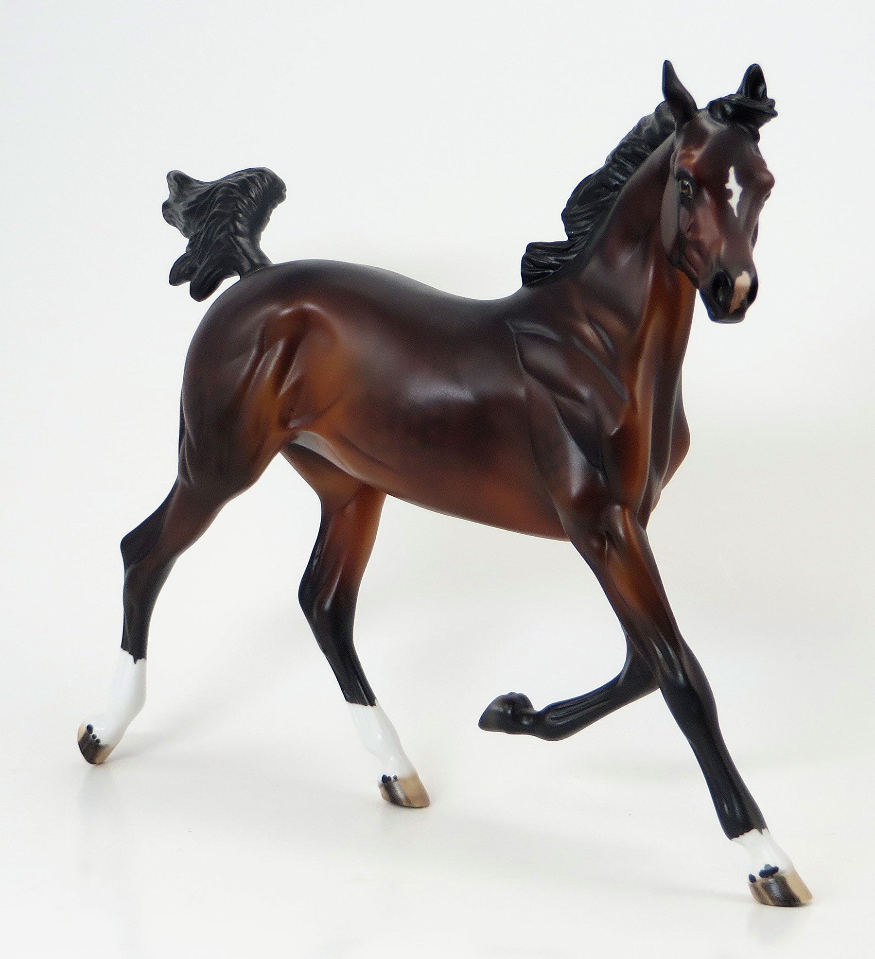 SUCCESS MATTERS - EQ 2015 LE12 Bay Yearling 6/15