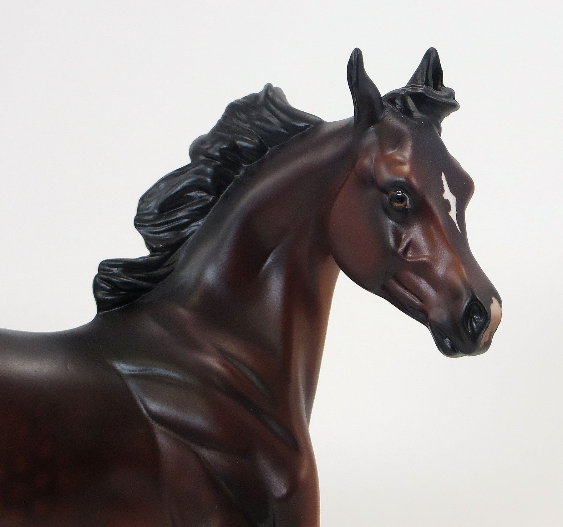 SUCCESS MATTERS - EQ 2015 LE12 Bay Yearling 6/15