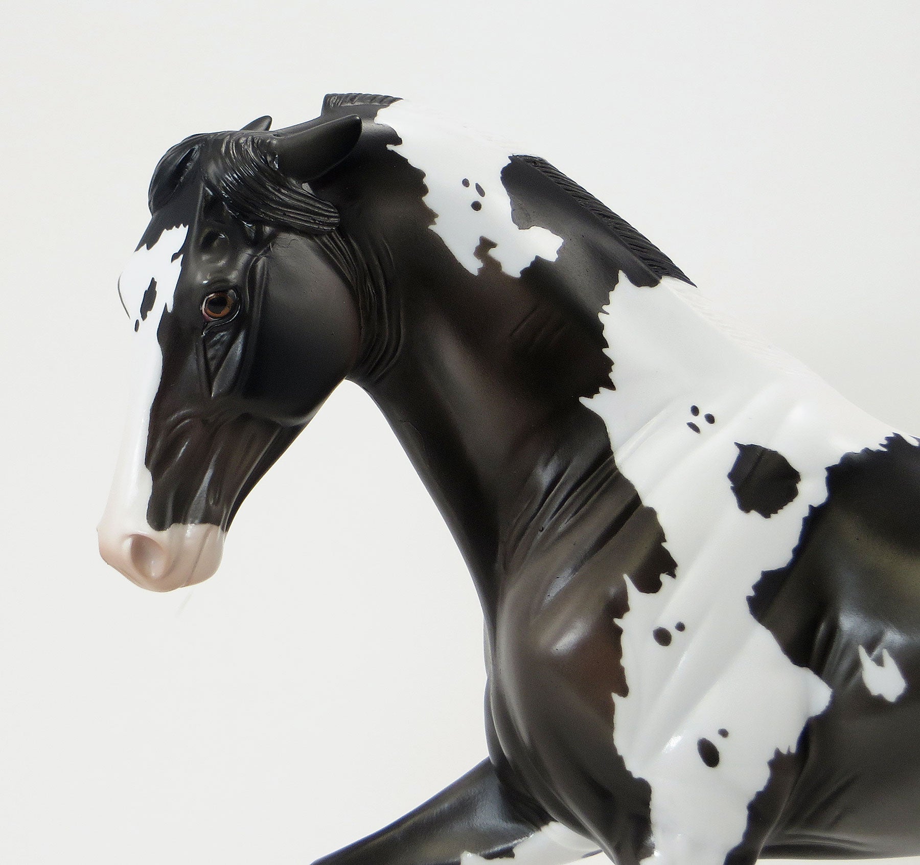 GHOST TOWN - EQ 2015 LE10 Grey Pinto Tennessee Walker Model Horse - 6/15