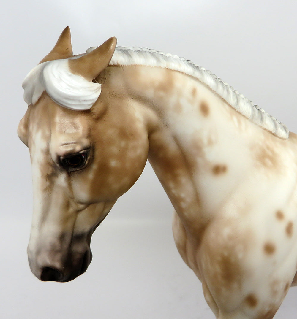 chestnut appaloosa
