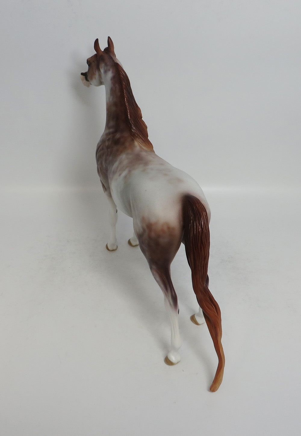 GUCCHI - OOAK CHESTNUT SABINO ARABIAN MODEL HORSE BY DAWN QUICK 4/6/2018