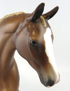 Pony