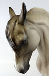 Andalusian