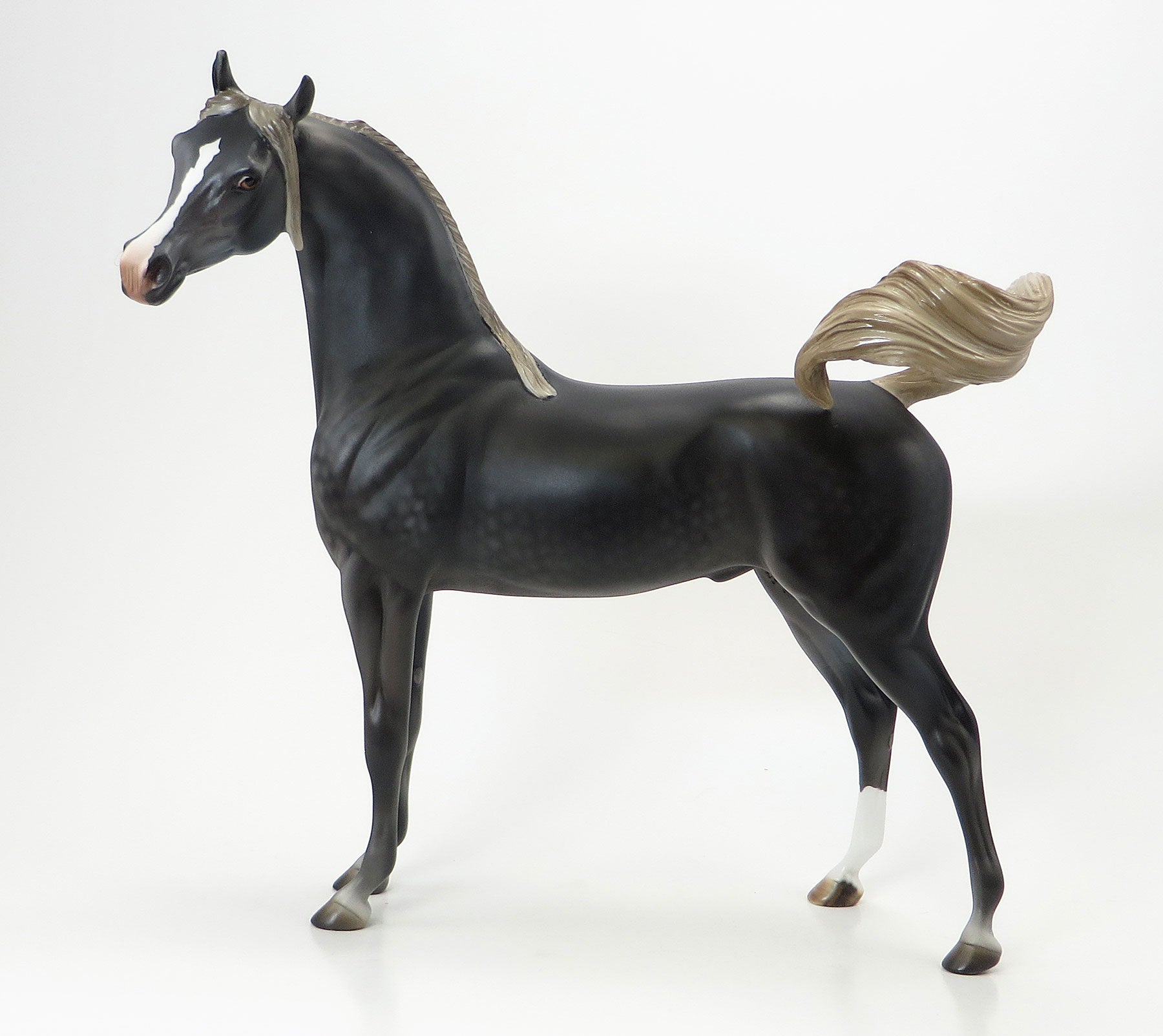 TEE JAY MAX -EQ 2015  LE15 Dark Dapple Grey Arabian 7/23