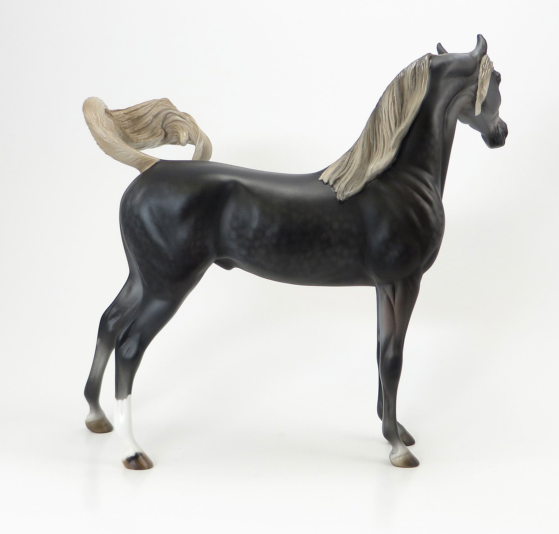 TEE JAY MAX -EQ 2015  LE15 Dark Dapple Grey Arabian 7/23