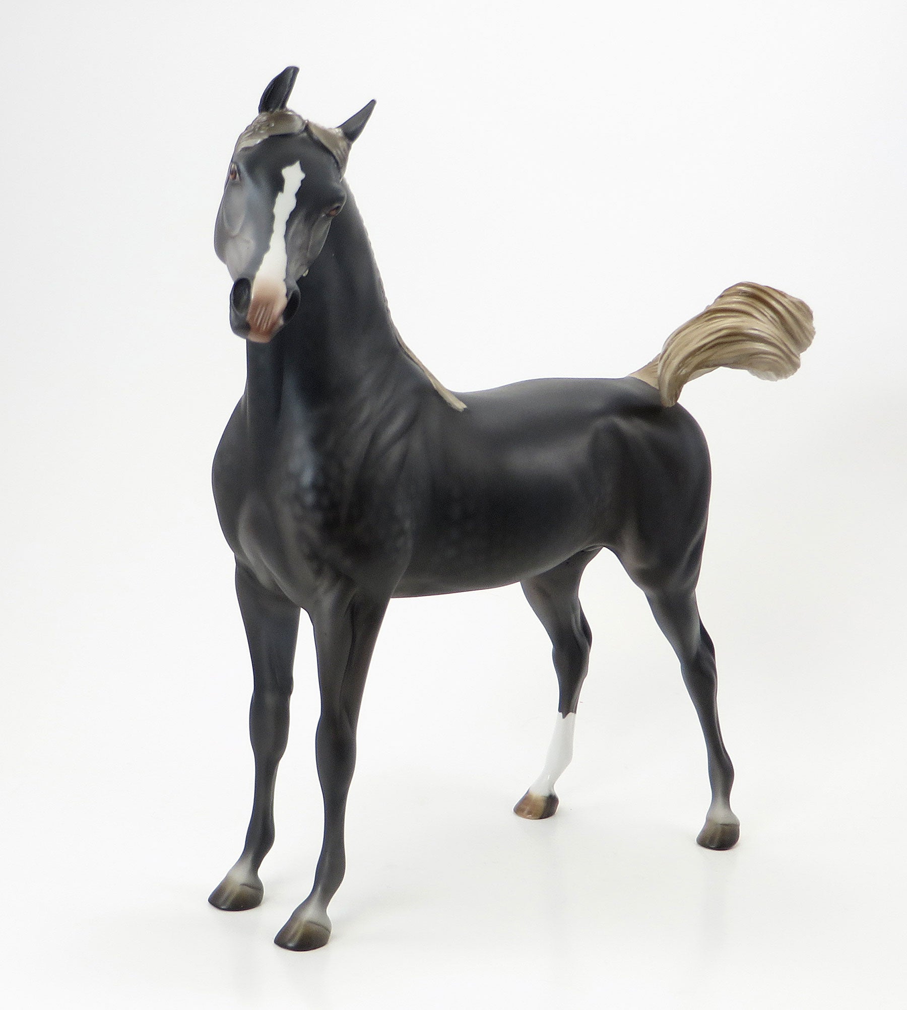 TEE JAY MAX -EQ 2015  LE15 Dark Dapple Grey Arabian 7/23
